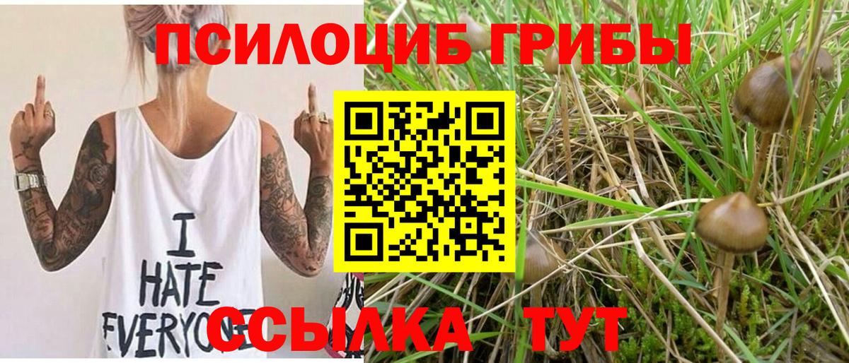 Псилоцибиновые грибы мицелий  Вход с VPN  Альметьевск 