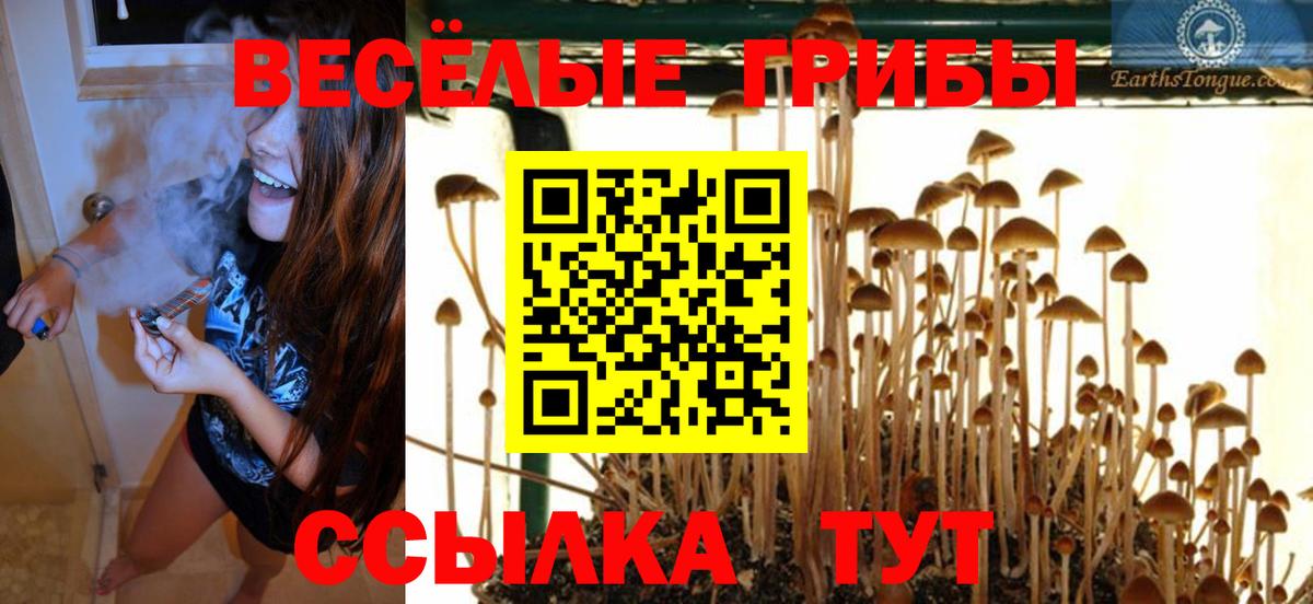 Галлюциногенные грибы MAGIC MUSHROOMS Альметьевск